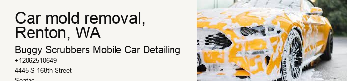 car mold removal, Renton, WA
